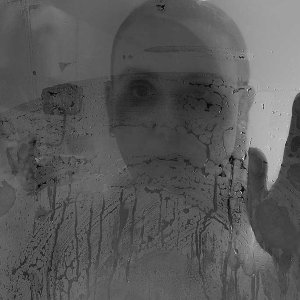 Foto: Scarlet Sibbes